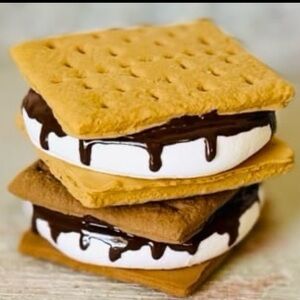 2~FAUX S’mores